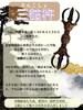 Sankosho, Three-pronged Vajra, Vajra, Esoteric Buddhism, Ritual Implement, Amulet, Antique Art, Perfect for Passing Exams, Gift [Item]