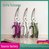 Stainless Steel Multi-functional Kitchen Shears - Powerful Chicken Bone and Food Shears