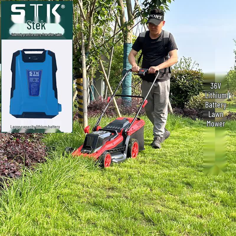 Streck Cordless Electric Garden Tools CN plug (adapter included)