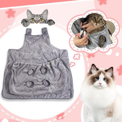 Kočky – Péče o kočku