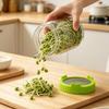Food-Grade Glass Sprouting Jar with Multi-Functional Strainer Lid for Homemade Hydroponic Bean and Pea Seedlings.