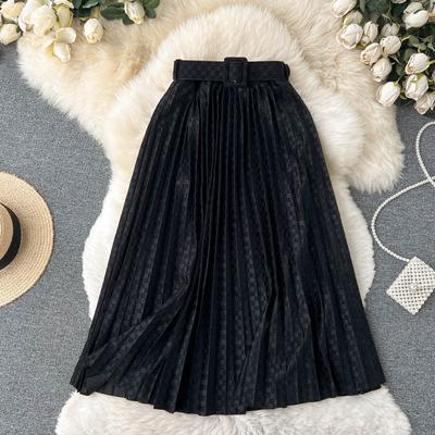 Mid-Length Skirt Women's Autumn Popular Skirt Pleated Skirt