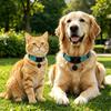 Apple Find My Certified Dog Cat Collar Tracker Anti Lost IP68 Waterproof Reflective Nylon S M L Black Blue Red Teal