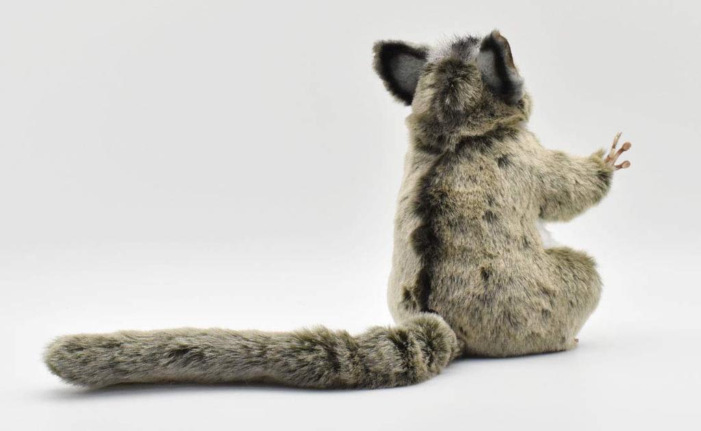 BH7482 HANSA Sugar Glider 22cm