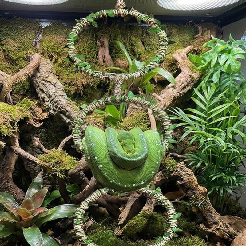 Reptiles Climbing Rings Toy Tanks Playgrounds Equipment Exercise Enriching Toy For Lizards Terrarium Habitats Decoration
