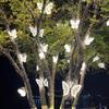 Waterproof LED Butterfly Light 40/60cm LED Simulated Butterfly Decor  Outdoor Garden/Wall Decor