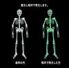 Set of 2 90cm Skeleton Skeleton Toys for and Glow-in-the-Dark Figures, Glow-in-the-Dark Parties, Rooms, Cars, More. Horror-inspired Figures.