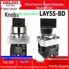 DELIXI LAY5 Metal Switch: BD21 Self-locking Knob (Two-Position), BD33 Self-locking Knob (Three-Position), BD25 Self-reset Knob (22mm).