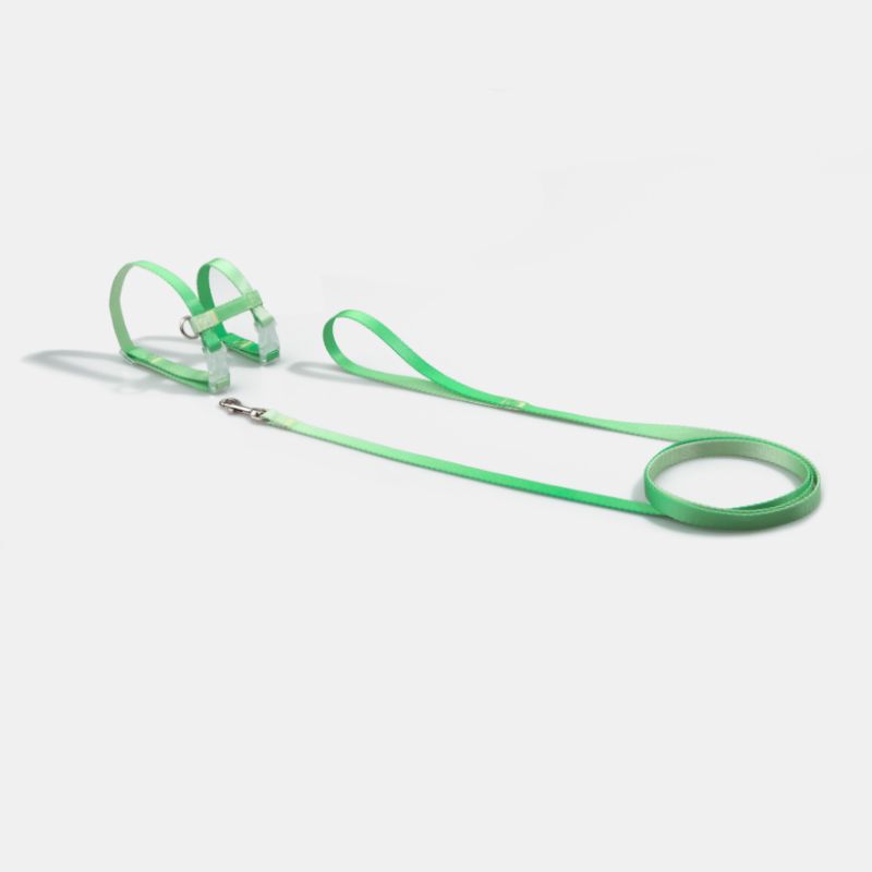 

Moligoo Strap Anti Breaking Loose Pet Supplies Cat M-medium 1.5 M [suggested 2.50kg -6.50kg]] Mint