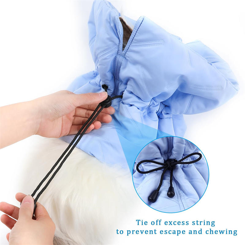 Katze Blume Elizabeth Baumwolle Hals Haustierhalsband Verstellbar Beißschutz Operation Niedlich Solarblume Halskegel Schönheits Kopfbedeckung