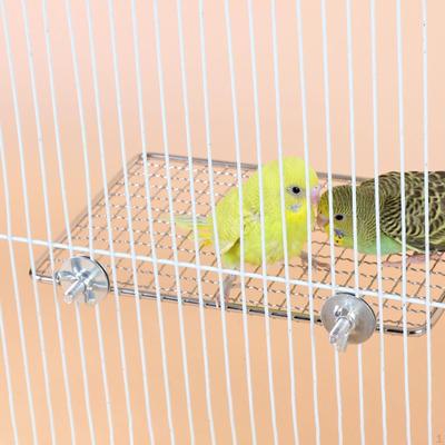 Bird Perches Platform Shelf Stand Stainless Steel Exercises