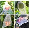 50/100pcs Strawberry Grapes Fruit Grow Bags Netting Mesh Vegetable Plant Protection Bags For Pest Control Anti-Bird Garden Tools