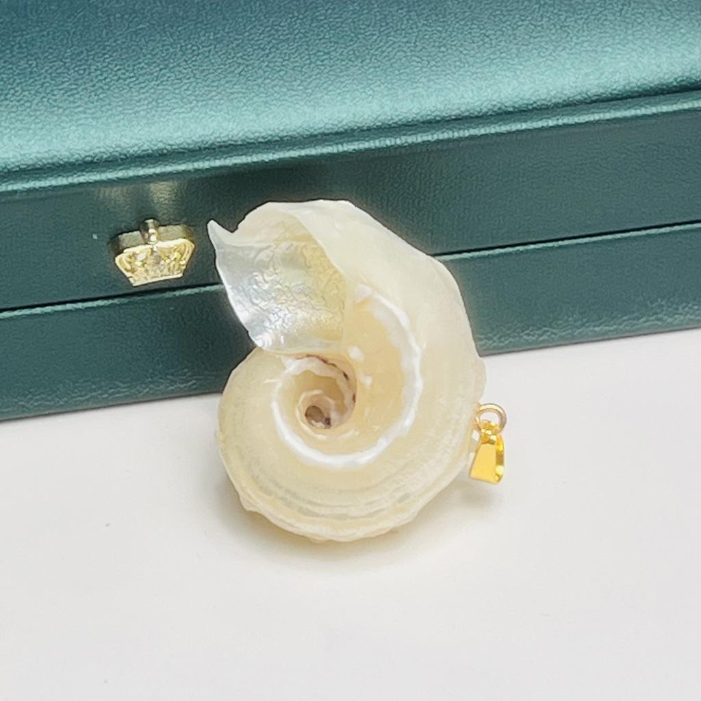 10Pcs Conch Pendant Shell Necklace Pendant 25-40mm For Jewelry Making DIY Necklace Bracelet Earrings Accessory