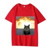 Whimsical Cat Explosion Graphic T Shirt Men Women Oversized Cotton Funny Hot Sale Short Sleeve Summer Print Tops