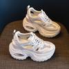 2025 Summer New Popular Dad Shoes Women's Thick-soled Heightened Lightweight Hollow Mesh Breathable Casual Sandals