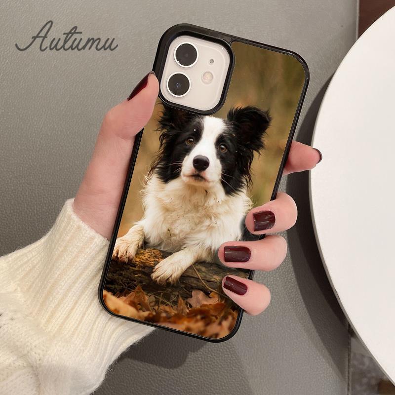 Süße Border Collie Hund Haustier Handyhülle für iPhone 11 12 13 14 Pro Max Mini XR XS SE 2020 6S 7 8 Plus Samsung Galaxy S21 S22 Cover