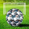 Lionel Messi With World Cup Trophy Size 5 Soccer Balls, Anti-Slip, Protective Football, Outdoor Sport, Practice Games, Birthdays Gift for fan