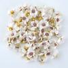 50/100 Stück Mini Gänseblümchen Künstliche Blumenköpfe Seide DIY Bilderrahmen Foto Requisiten Heimdeko Muttertag Hochzeit Dekoration