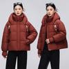 Down cotton clothes women's fashion cotton clothes winter new bread clothes small loose short warm jacket women
