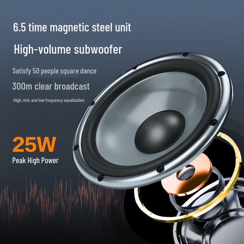 Newman TR-K11 Portable Bluetooth Karaoke Speaker