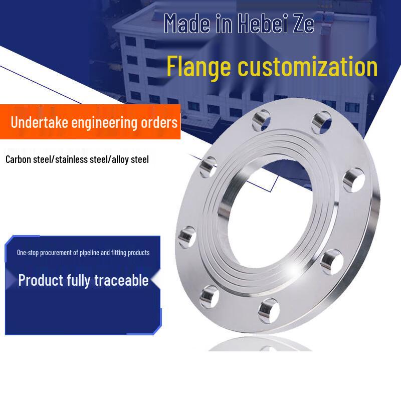 OIMG 304 Stainless Steel Flat Welding Flange