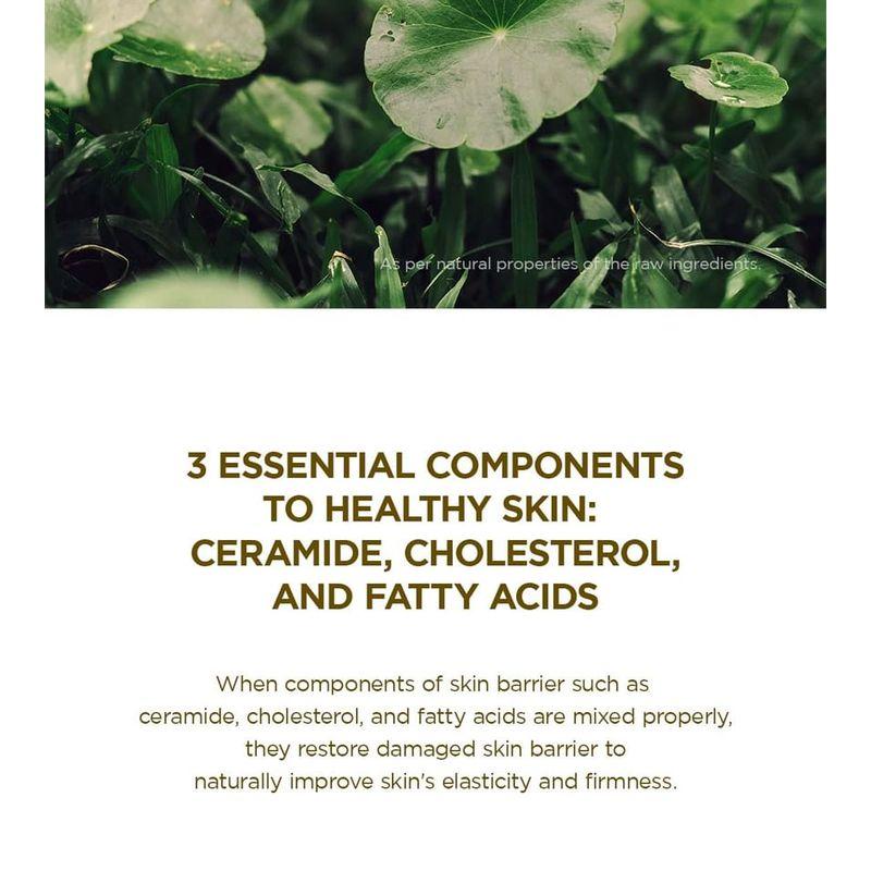 SKIN 1004 - Madagascar Centella Soothing Cream