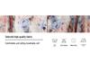 Stylish Floral Print Mid-Sleeve Chiffon Blouse for Women – Summer New Arrival, Age-Reducing, Loose Fit