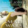 Small Wars by Sadie Jones Paperback Book 9780099540526