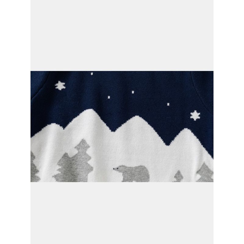 Autumn and Winter Boys' Round Neck Long Sleeve Sweater Kids Double-Layer Thickened Cotton Cotton Knitwear Baby Boys' Knitwear 2024 New Arrival