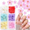 Nail Art Five-Petal Flower Ornament Macaron Three-Dimensional Resin Steel Ball Nail Art Jewelry Mixed