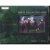 Horse selection set with serial number card/selection