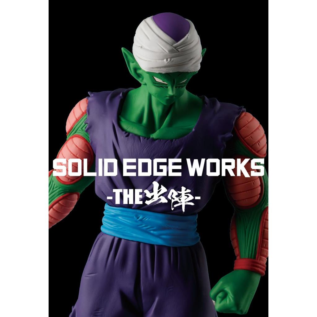 Banpresto Dragon Ball Z SOLID EDGE WORKS THE Shutsin 13 Piccolo B