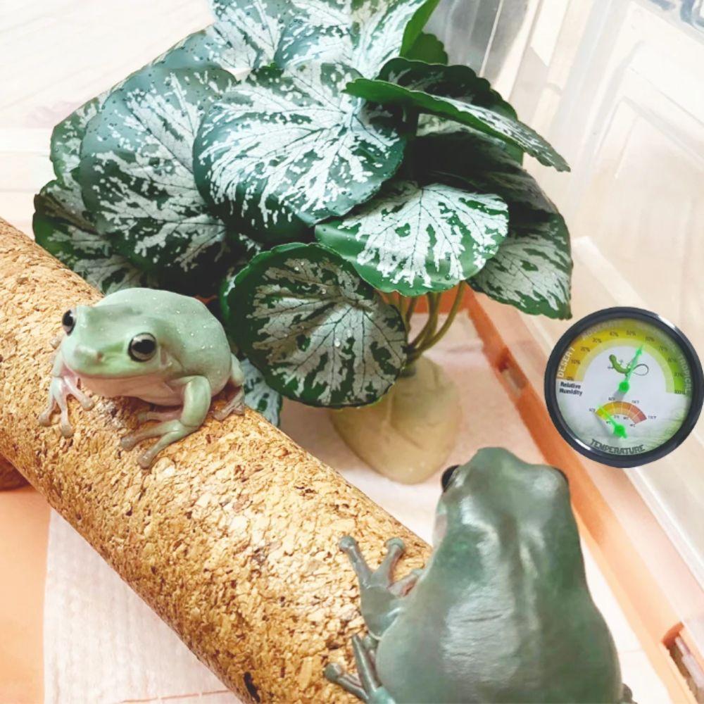High Accurately Digital Hygrometers Digital Display Climbing Design Indoor Hygrometers Outdoor Hygrometers Greenhouses