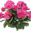 Best-selling Silk Begonia & Geranium Fake Flowers for Weddings and Home Decor