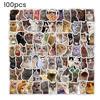 100 Pcs Cute Cat Stickers for Kids Boys Girls Waterproof Cat Meme Decals for Laptop Skateboard Luggage Car Bumper Water Bottle Decor