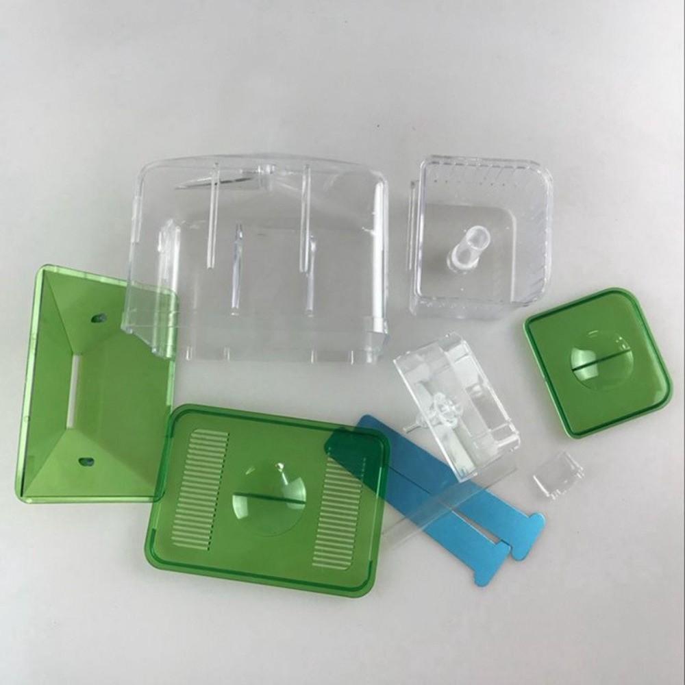 Transparent Fish Tank Hatchery Slotted Design Breeding Isolation Box  Isolation