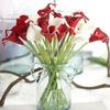 Home Garden Elegant DIY Wedding Real Touch Bouquet Artificial Calla Lilies Fake Flowers Silk Plants