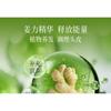 ZOOLY - No.7 Ginger Scalp Nutrient Solution