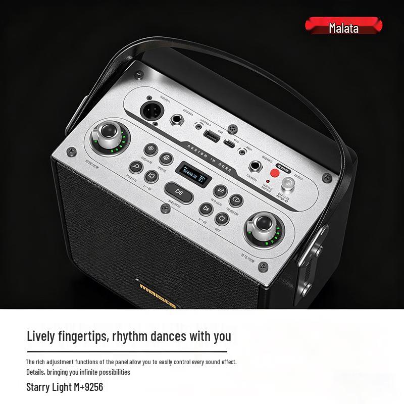 Malata Portable Karaoke Speaker with Wireless Mic (CN Version)