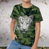 3D Print Summer Spring Sports Fashion Streetwear Kids  Crew Neck Casual Daily Outdoor Regular Top