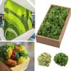 200g Artificial Moss Plant Fake Moss DIY Crafts Grass Potted Plants Green Moss DIY Home Room Wall Decor Mini Landscape Ornament