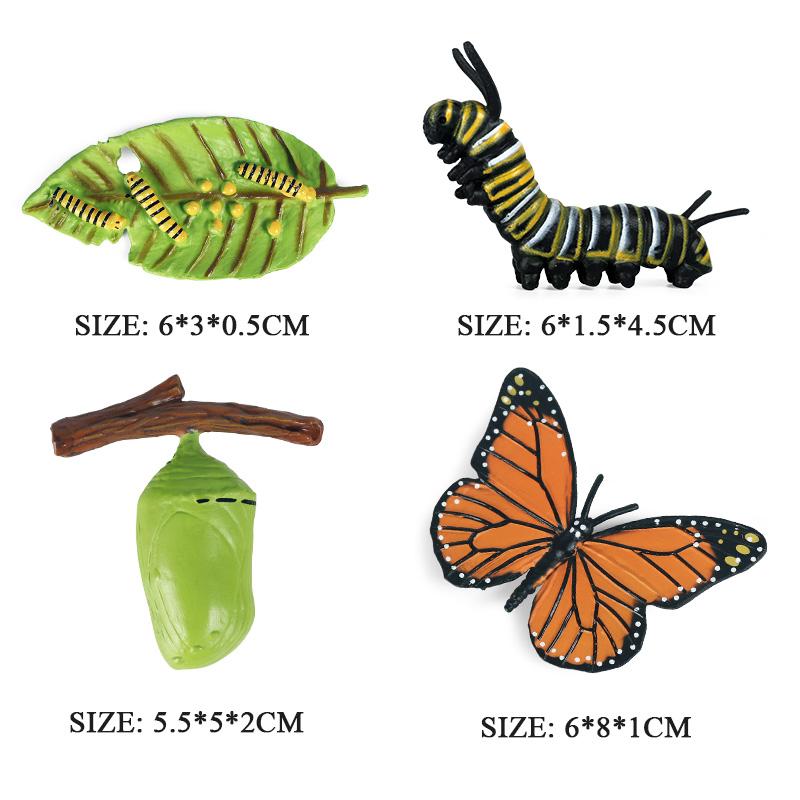 Oenux Insect Animals Model Monarch Actias Ningpoana Swallowtail Butterfly Growth Cycle Garden Figurine Education Kid Toy Gift