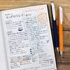 Zebra Gel Ballpoint Pen Sarasanano 0.3mm 5 Color Set Vintage Color JJH72-5C-V