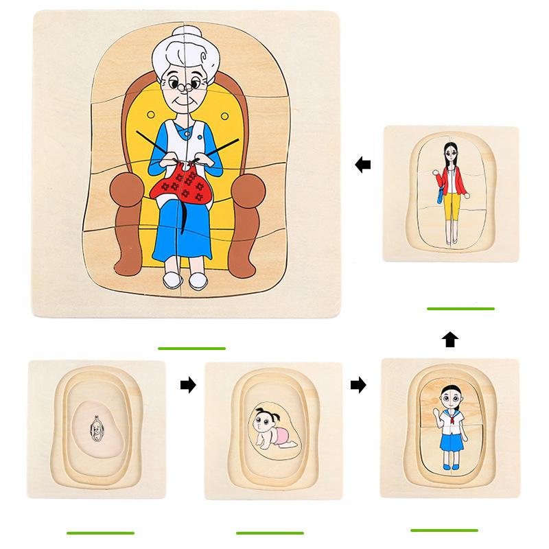 Wooden Kids Animal/ Plant Life Cycle 3D Puzzle Toy Montessori Teaching Aids Multi-Layer Jigsaw Early Learning Toys For Preschool