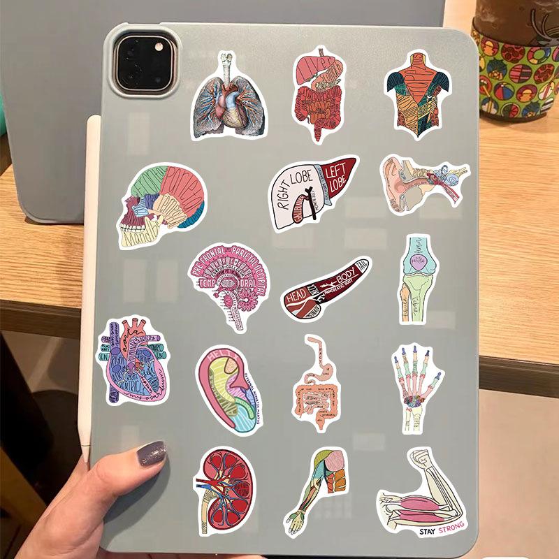 50 Cartoon Organ Anatomy Pictures Graffiti Stickers Personalized Decorative Guitar Notebook Suitcase DIY Waterproof