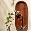 Minimalist Wall Hydroponic Vase Solid Wood Oval Tube Wall Vase Hanging Plant Panel  Home Decor
