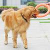 Dog Disc Toy Flying Ring Pets Flying Disc Dog Chew Toys Non-Toxic Fitness Ring Dogs Water Play Tug Toy Frisbee for Small Medium