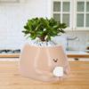 Small Plant Pot Resin Cute Look Versatile Indoor Outdoor Succulent Planter Pot for Home Balcony Gard