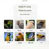 Large Parrot & Bird Cage for Budgies, Peonies, Wrens, Starlings & More