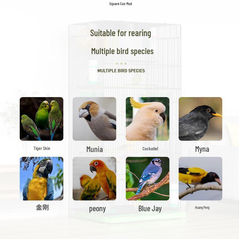 Large Parrot & Bird Cage for Budgies, Peonies, Wrens, Starlings & More